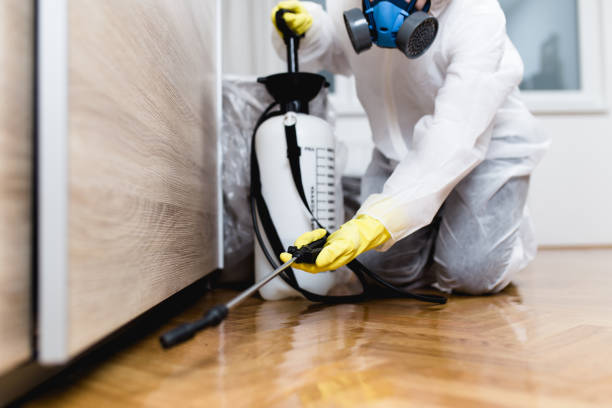 Best Termite Control Services  in Clinton, PA