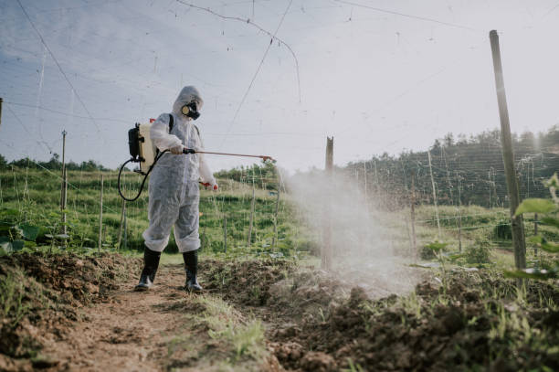 Best Best Pest Control Companies  in Clinton, PA