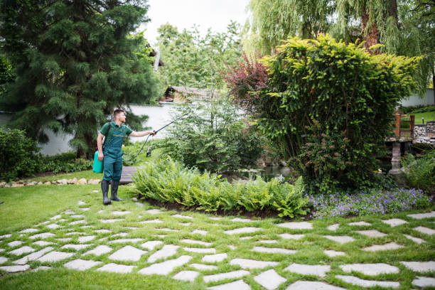 Best Pest Control for Homes  in Clinton, PA
