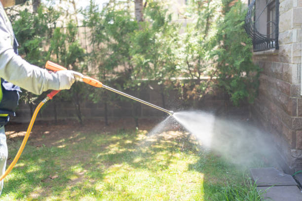 Best Mosquito Control Services  in Clinton, PA