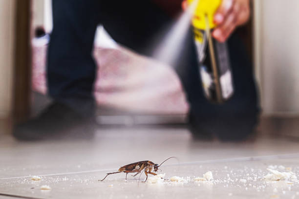 Best Affordable Pest Control Services  in Clinton, PA