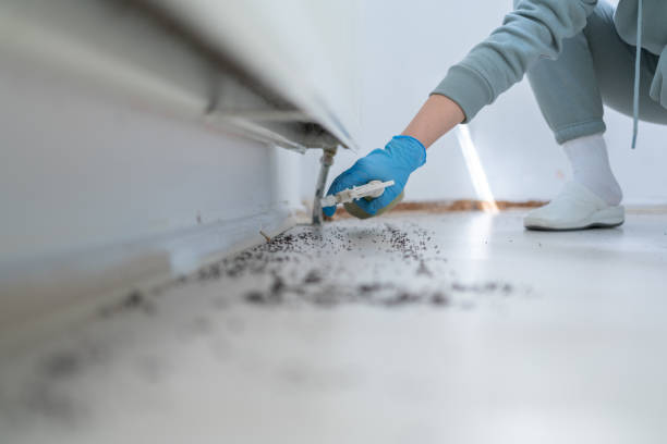 Pest Prevention Services in Clinton, PA