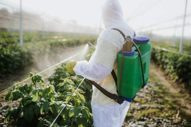 Best Bed Bug Extermination  in Clinton, PA